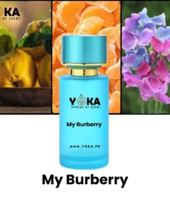 Inspired by My Burberry Perfume (50 ml)